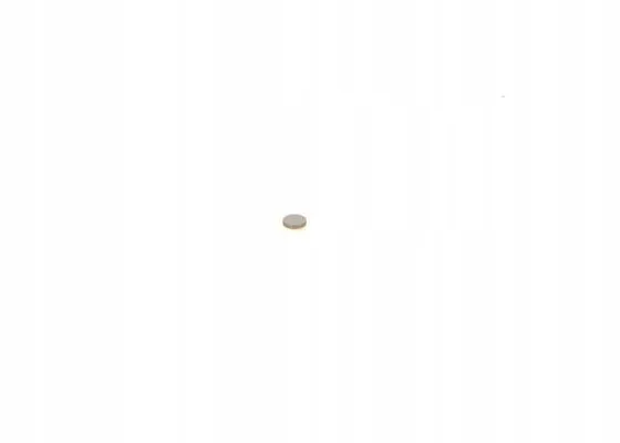 bosch-pompa-paliwa-1410067159