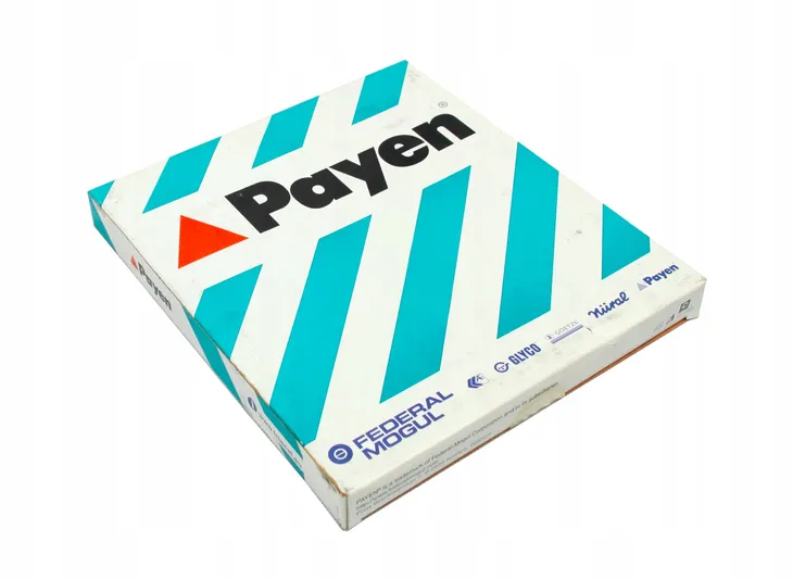 payen-kpl-uszcz-dz860-stan-nowy