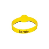 nerdozjanska-opaska-bernie-stan-nowy
