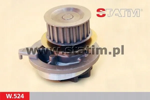 statim-pompa-wody-w-524