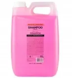 stapiz-szampon-5l-owocowy