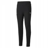 puma-spodnie-mapf1-53188001-r-m