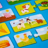 carotina-10-gier-certyfikaty-opinie-atesty-ce