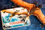 pteranodon-ksiazka-i-puzzle-3d-stan-nowy