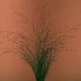 tak-mi-sie-nie-chce-mikromusic-cd