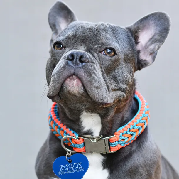 metalowy-identyfikator-adresowka-dla-psa-serce-rodzaj-z-grawerem