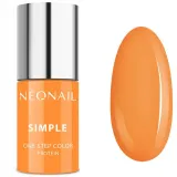 neonail-simple-one-step-protein-8960-creativity