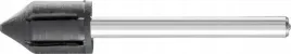 pferd-pct-wkg-0713-g-3