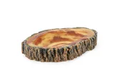 miska-do-terrarium-happet-r146-stan-nowy