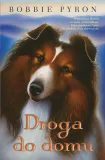 droga-do-domu-pyron-bobby-ksiazka-bis