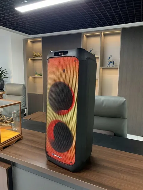 glosnik-bluetooth-power-audio-blaupunkt-pb10db-kolor-czarny