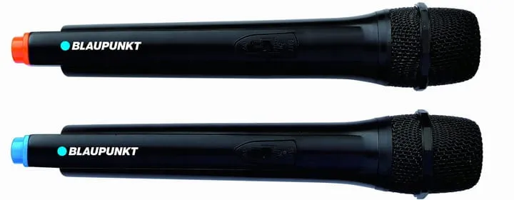 glosnik-bluetooth-power-audio-blaupunkt-pb10db