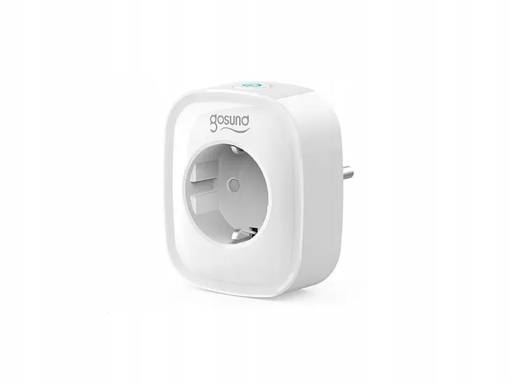 inteligentne-gniazdko-wifi-gosund-sp112-2xusb-rodzaj-gniazdko