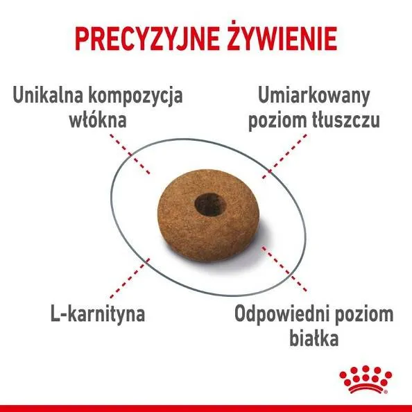 royal-canin-appetite-control-10-kg-sucha-karma-dla-doroslych-kotow-zmniej-marka-royal-canin