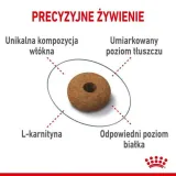 royal-canin-appetite-control-10-kg-sucha-karma-dla-doroslych-kotow-zmniej-marka-royal-canin