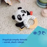 sensor-zab-z-gryz-i-grzech