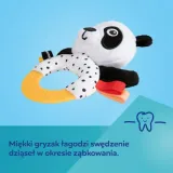 sensor-zab-z-gryz-i-grzech