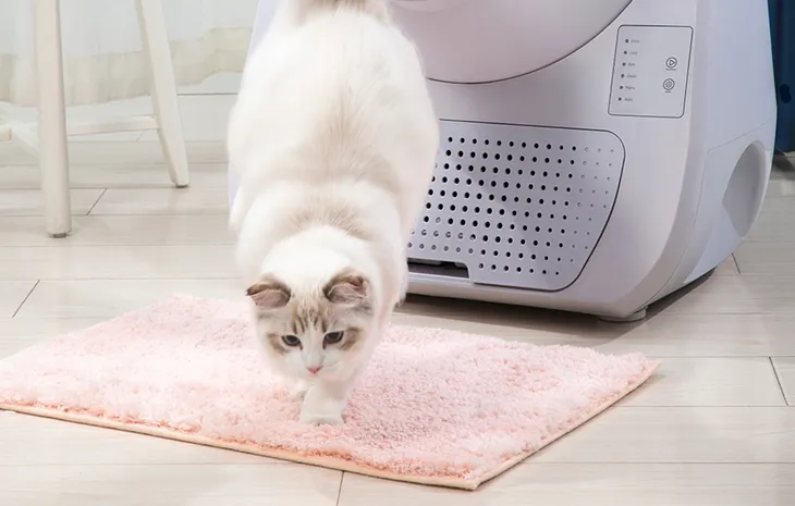 inteligentna-kuweta-catlink-scooper-young-version-wysokosc-produktu-71-cm