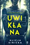uwiklana-sinicka-alicja-ksiazka