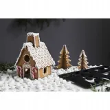 wykrawacz-do-ciastek-domek-z-piernika-3d-orthex-rodzaj-do-ciastek