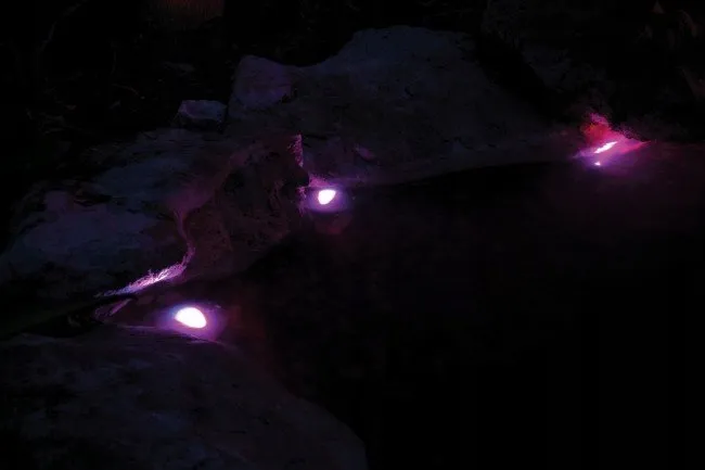 pontec-pondostar-led-rgb-set-3