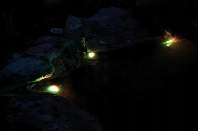 pontec-pondostar-led-rgb-set-3-barwa-swiatla-bialy