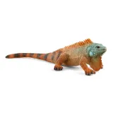 slh-14854-iguana-54764