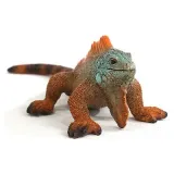 slh-14854-iguana-54764-stan-nowy