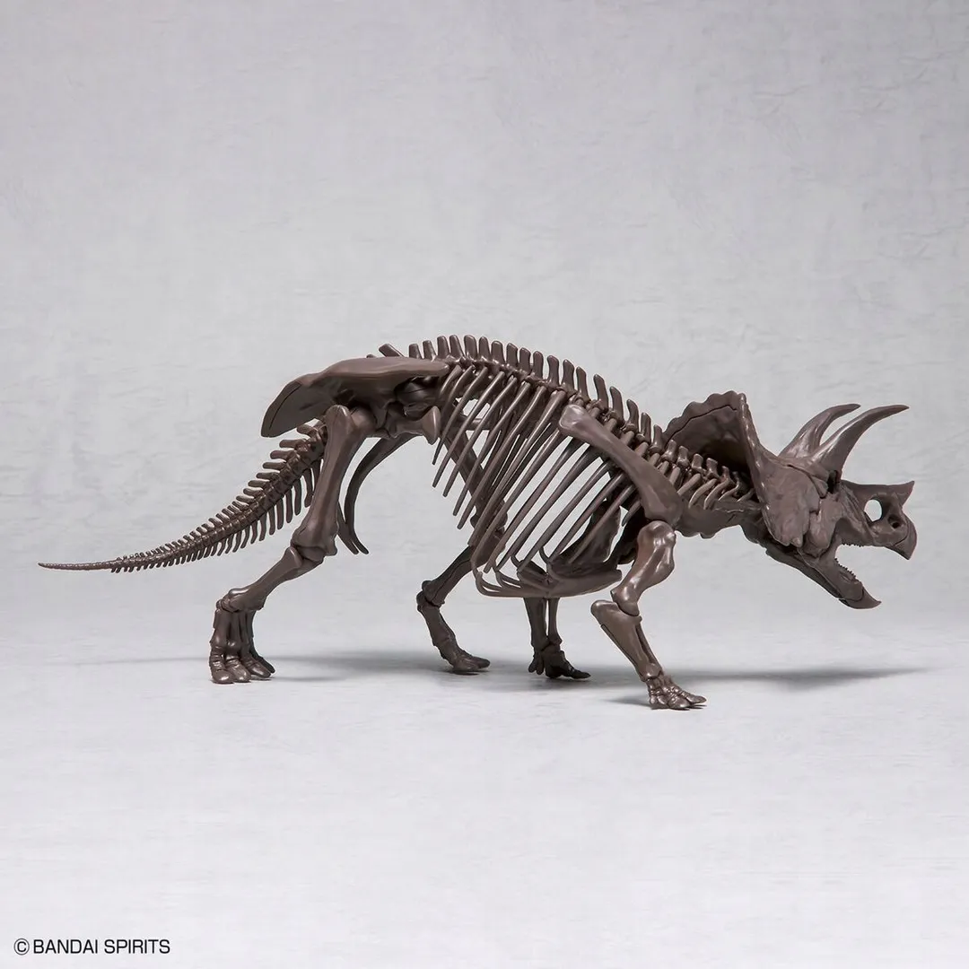 imaginary-skeleton-1-32-triceratops-stan-nowy