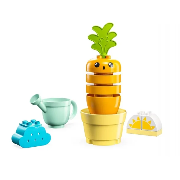 lego-10981-rosnaca-marchewka-plec-brak-informacji