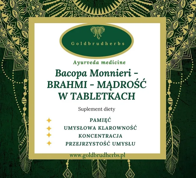 bacopa-monnieri-brahmi-madrosc-w-tabletkach