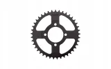 zebatka-tylna-41-428-do-activ-ormoretti