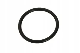 o-ring-termostatu-voge