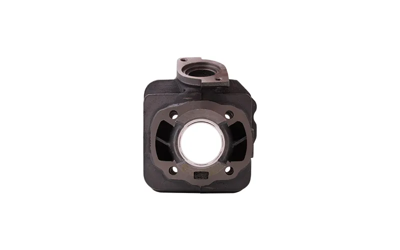 cylinder-2t-50cm3-dio-moretti