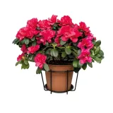 kwietnik-scienny-balkonowy-19x18-cm-stan-nowy