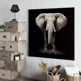 obraz-scienny-na-plotnie-slon-100x100-cm-stan-nowy