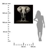 obraz-scienny-na-plotnie-slon-100x100-cm-stan-nowy