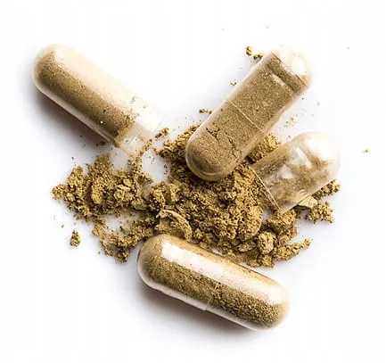 lactobacillus-max-60-kapsulek-solherbs-cechy-dodatkowe-bezalkoholowy-bez-cukru-bez-jodu-bez-kazeiny-bez-laktozy-bezzapachowy-czysty-bez-dodatkow-przechowywac-w-lodowce-weganski-wegetarianski