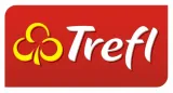 brick-trick-rpg-forgotten-legacy-xl-trefl-plec-unisex