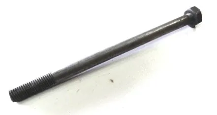 sruba-bizon