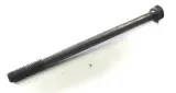 sruba-bizon