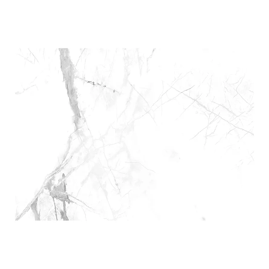 panele-scienne-spc-vilo-calacatta-snow-30x60-cm-stan-nowy