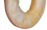 maced-ring-prasowany-bialy-7cm-wiek-zwierzecia-dla-wszystkich-psow