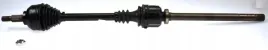 lobro-polos-prawa-pr-304261