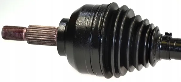 lobro-polos-prawa-pr-304261