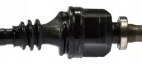 lobro-polos-prawa-pr-304857-typ-silnika-benzyna