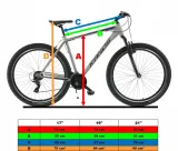 rower-mtb-29-kands-guardian-rozmiar-kola-29
