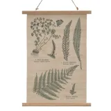 folia-50-x-2-x-70-cm
