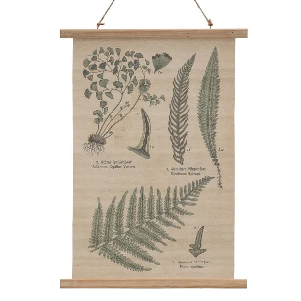 folia-50-x-2-x-70-cm