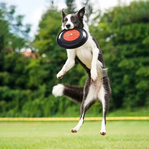 frisbee-acdc-czarny-stan-nowy-rodzaj-inne